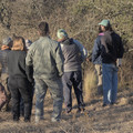 IMG_3443.jpg