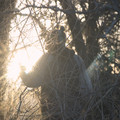 IMG_3462.jpg